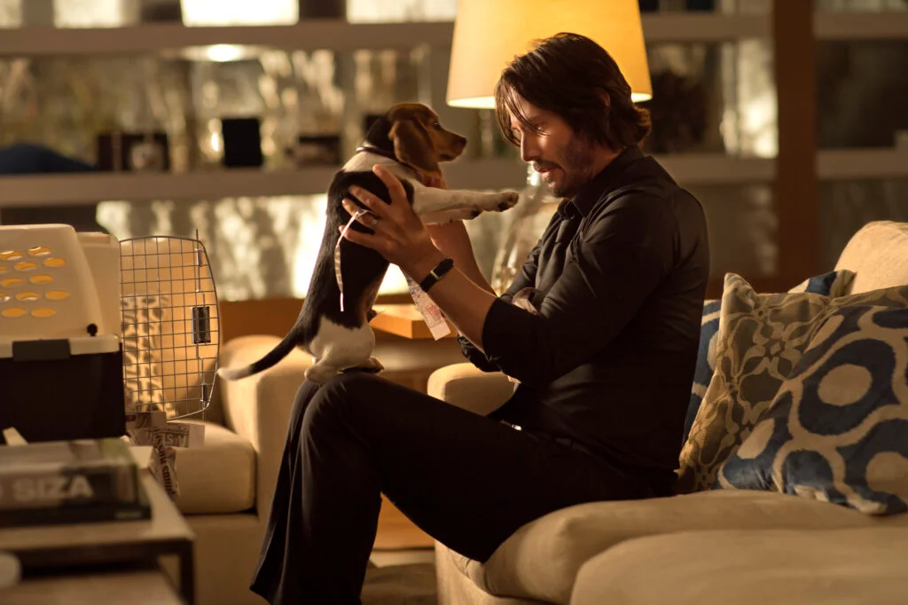 john wick playing with puppy
